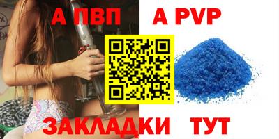 стаф Донской