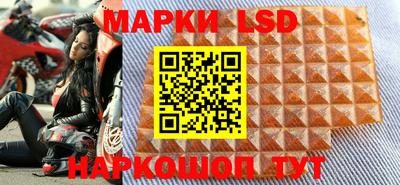 стаф Донской