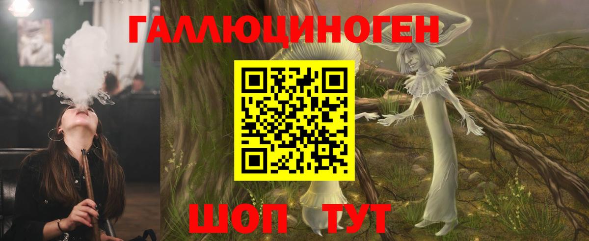 Псилоцибиновые грибы Psilocybine cubensis Мичуринск